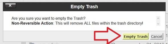 حذف فایل ها و خالی کردن سطل زباله در سی پنل