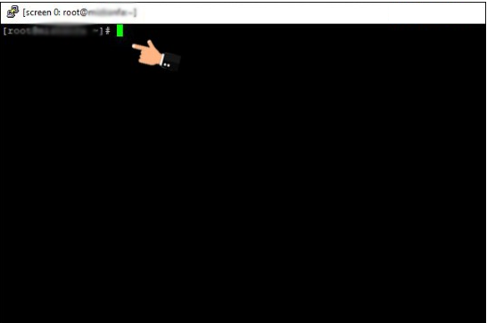 screen لینوکس